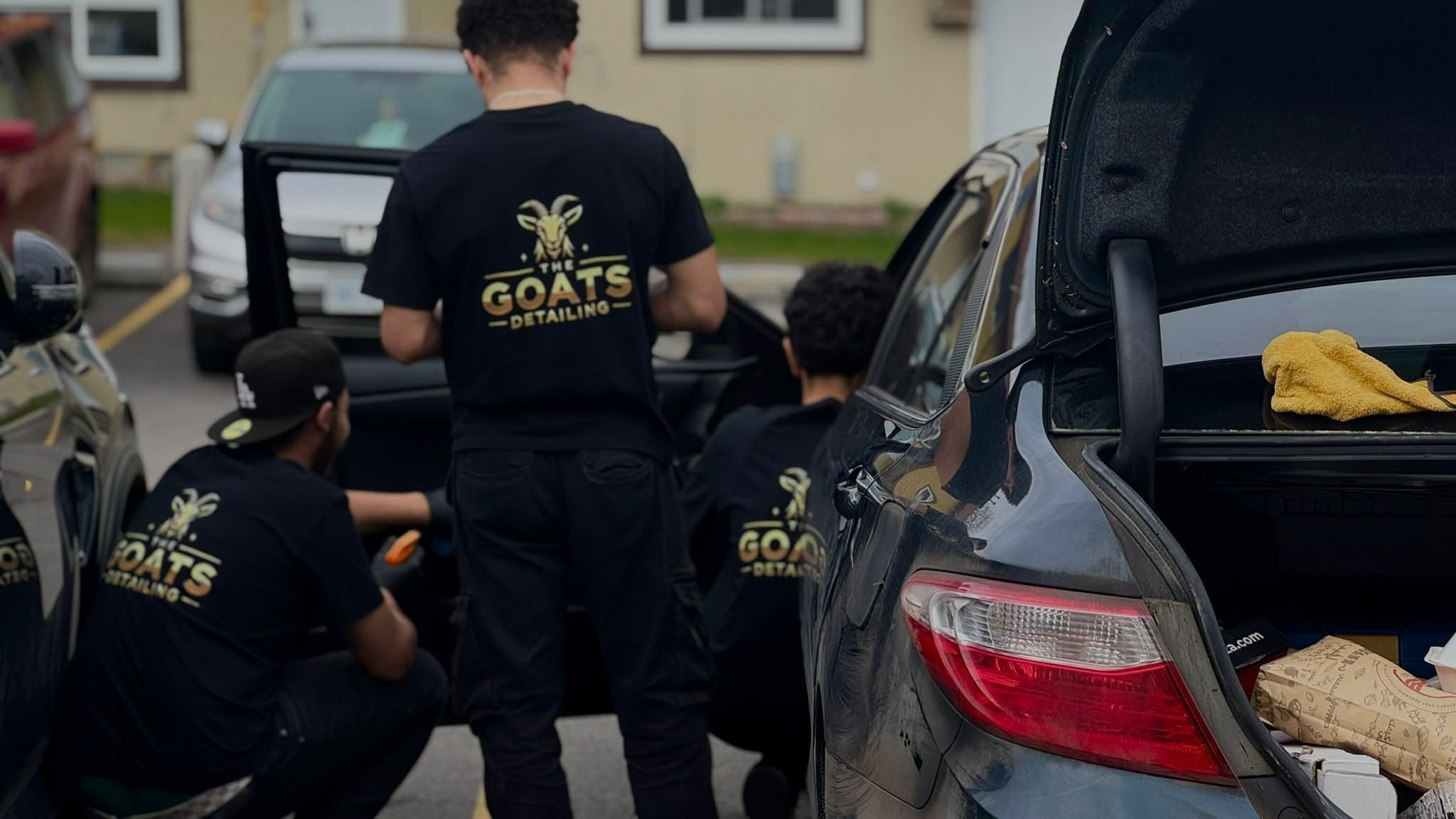 Professional car detailing