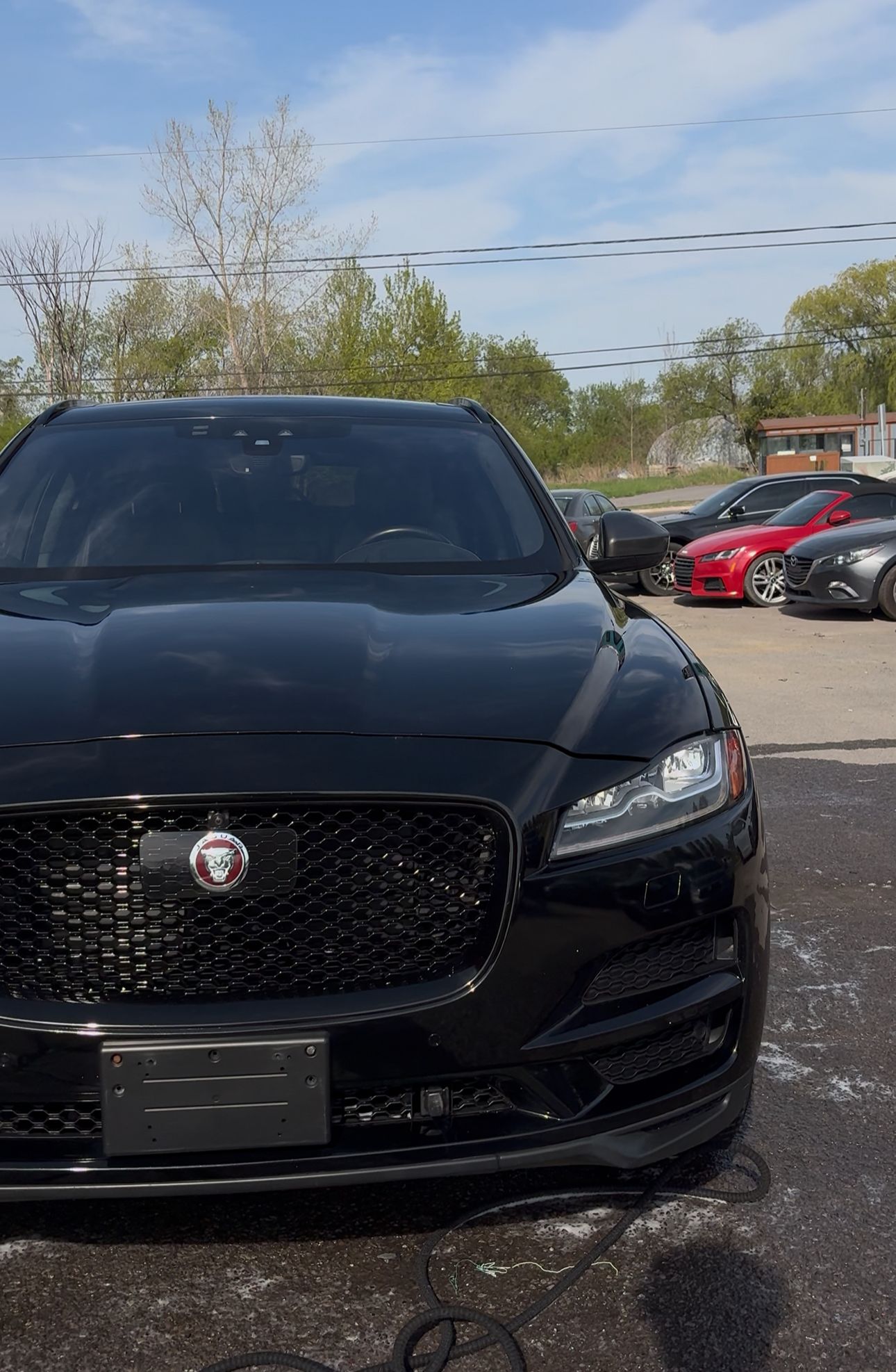 Car detailing service